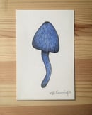 Image of Blue Shrooms
