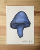 Image of Blue Shrooms