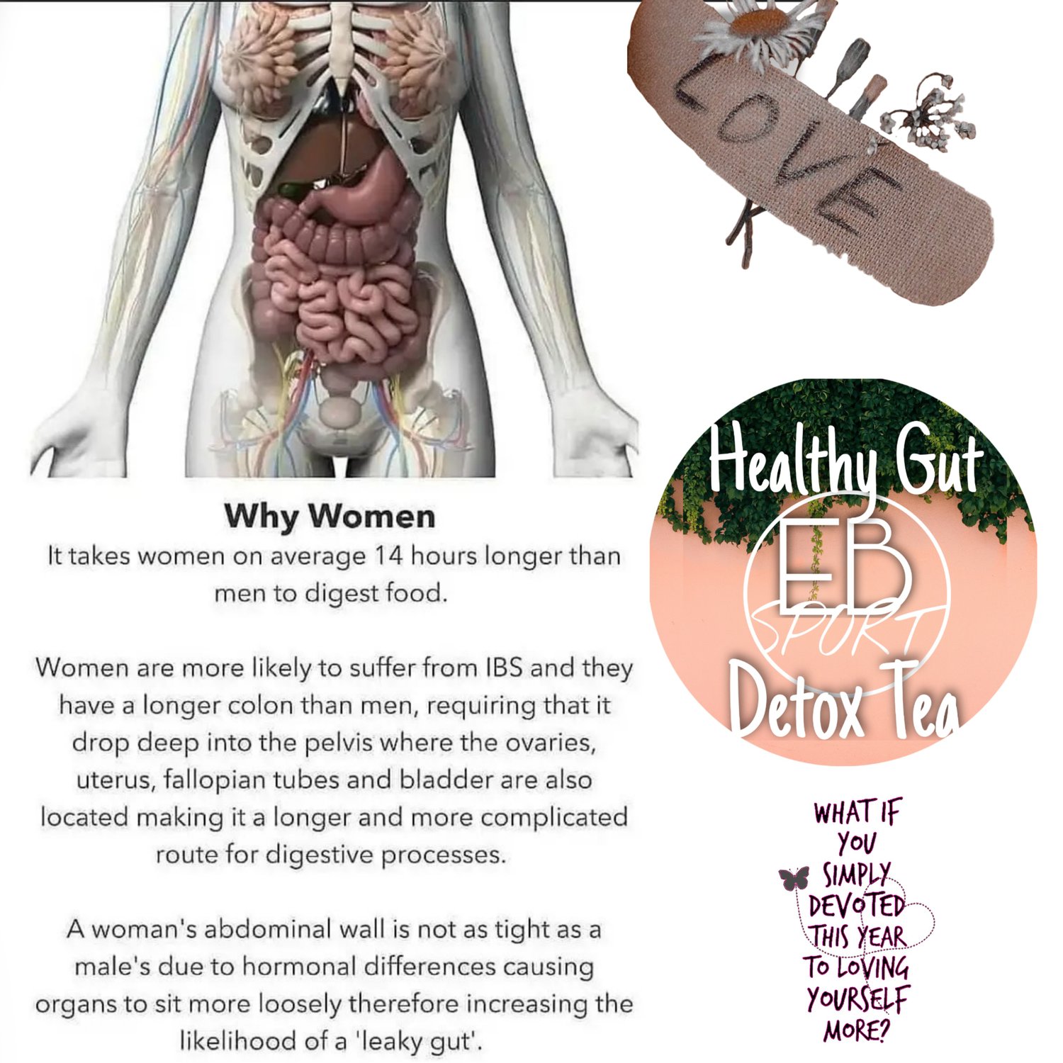 Image of EB SPORT Healthy Gut Detox Tea