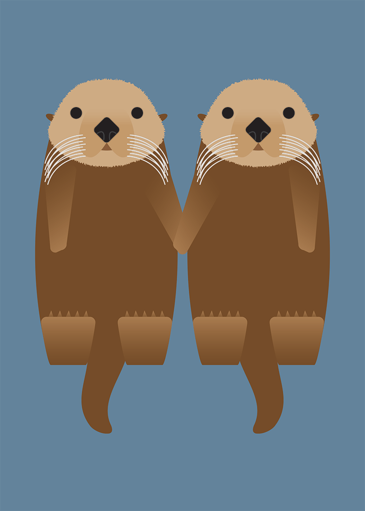 Sea Otter Collection