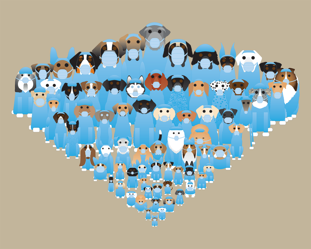 Nurse Cats & Dogs Collection