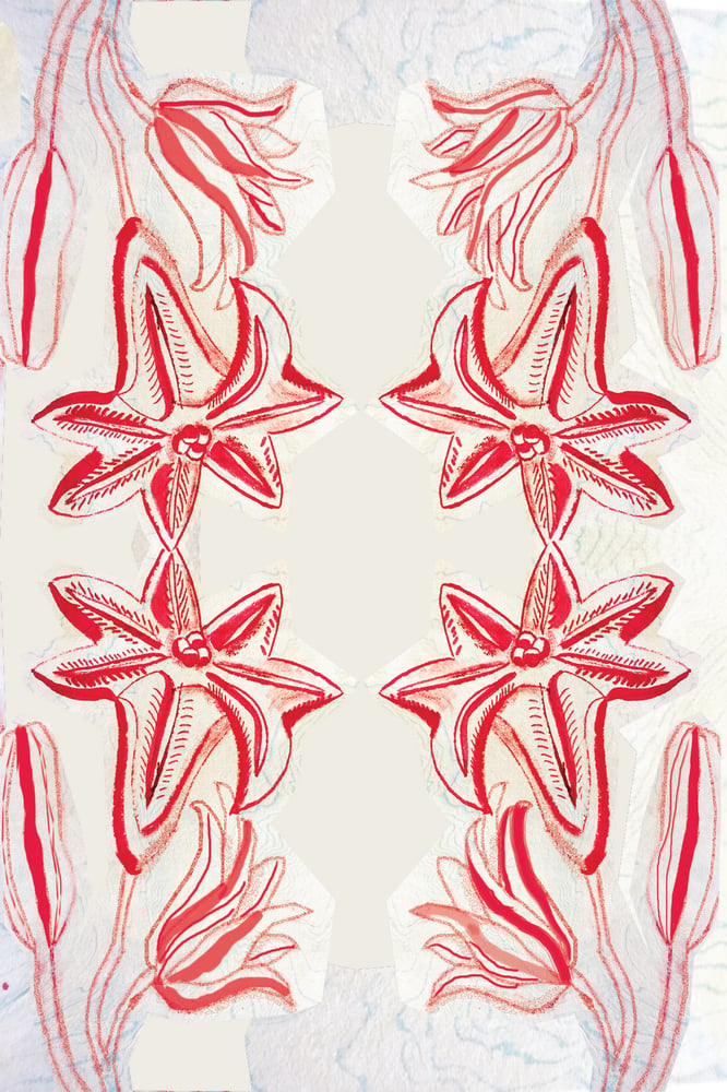 Image of Striped Lily 