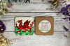 New Welsh dragon coaster