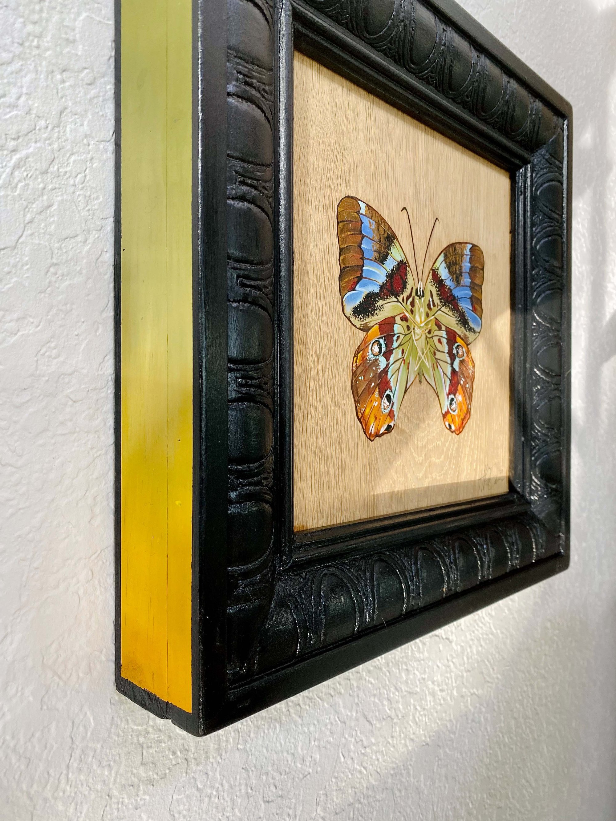 Image of Morpho Butterfly Series 