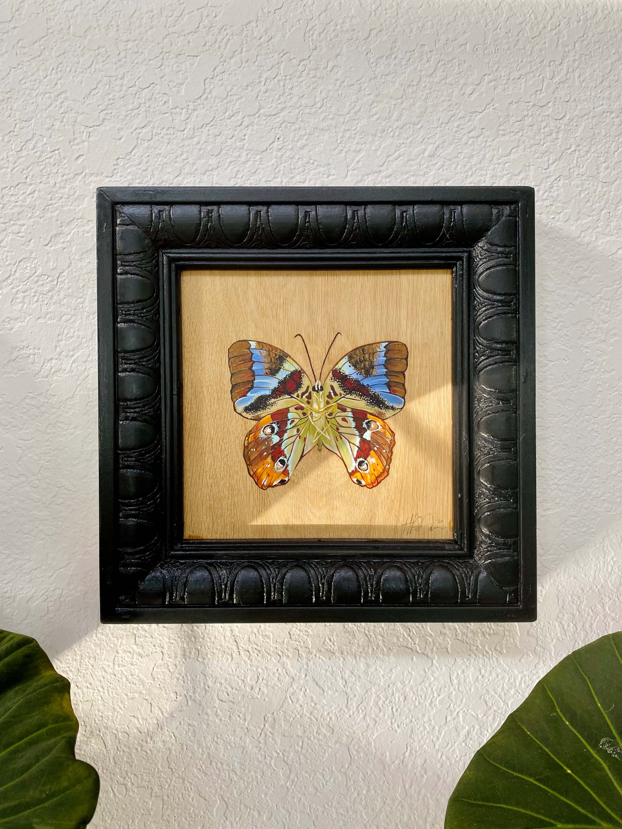 Image of Morpho Butterfly Series 