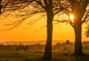 Sunset at Magdalen Green