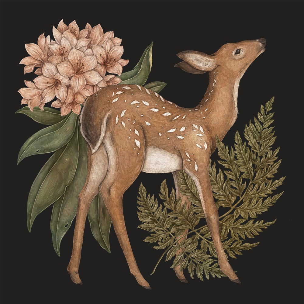 Image of Deer, Fern, Rhododendron Print