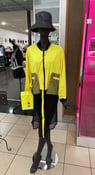 Image of Yellow jacket 