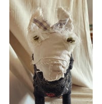 Image 3 of Baby Donkey doll