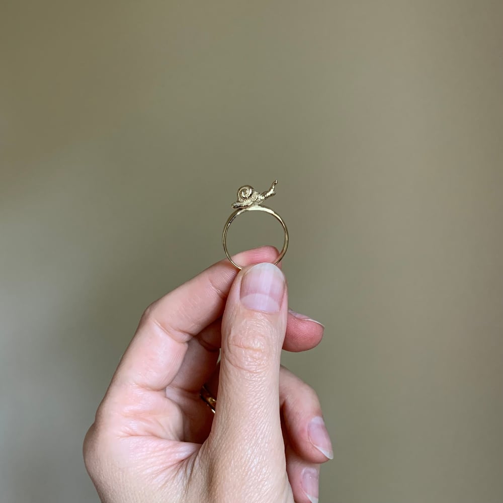 Image of Garden Snail Ring