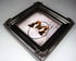 Real framed butterfly White-banded palla Image 4