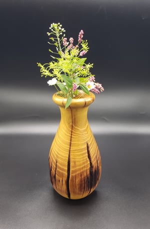 Image of Osage Orange Dry Vase