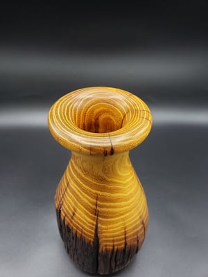 Image of Osage Orange Dry Vase
