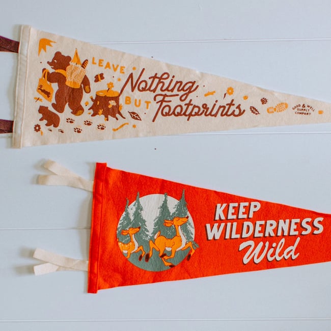 Keep Wilderness Wild Pennant