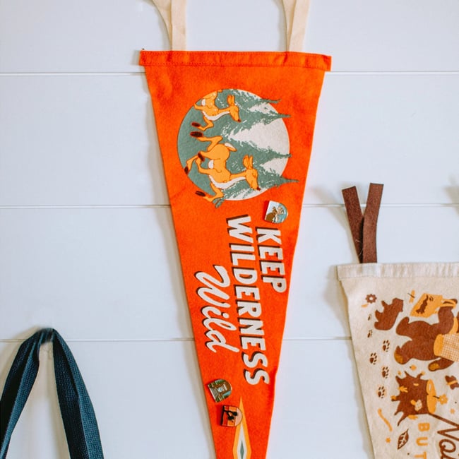 Keep Wilderness Wild Pennant