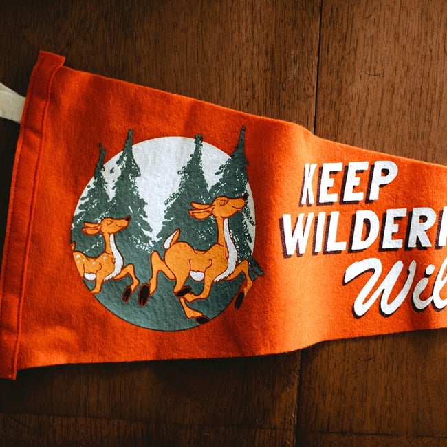 Keep Wilderness Wild Pennant