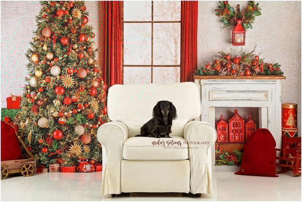 Image of 2021 Children's Holiday Sessions - Nov 6 & Nov 13