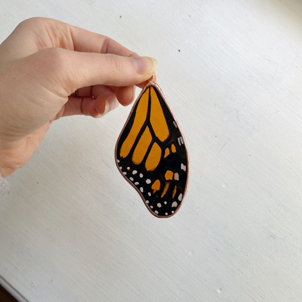 Image of Monarch Butterfly Wing no.8