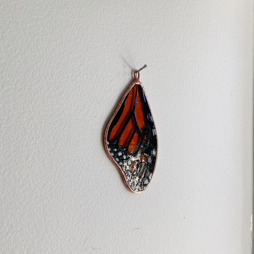 Image of Monarch Butterfly Wing no.8