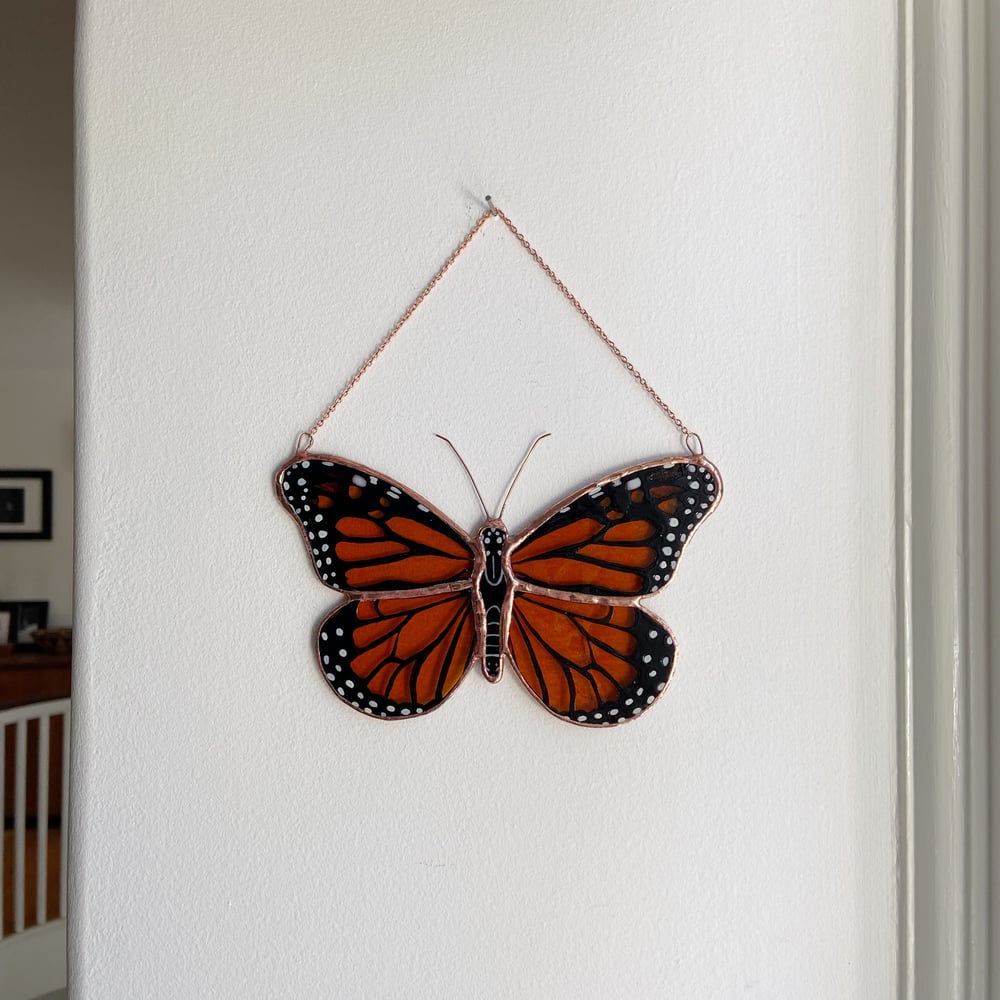 Image of Monarch Butterfly no.4