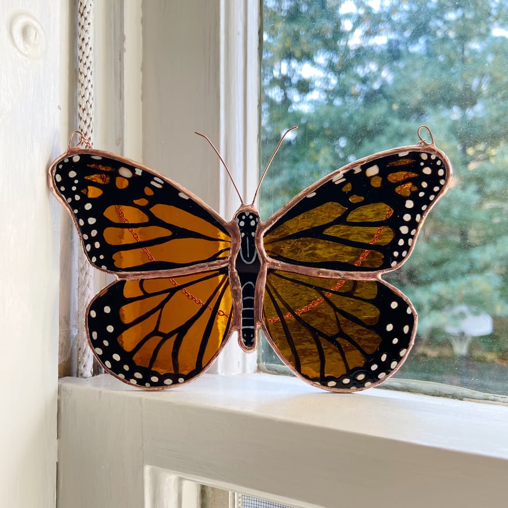 Image of Monarch Butterfly no.4