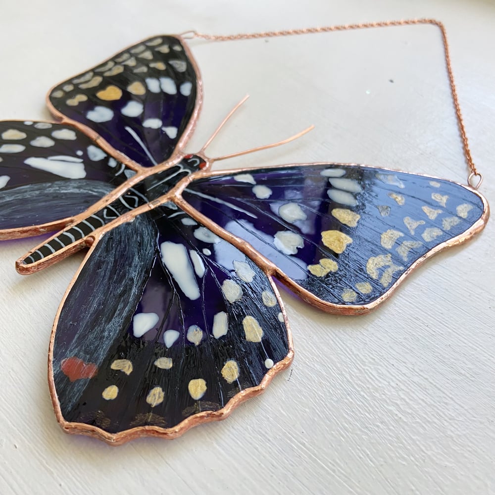 Image of Japanese Emperor Butterfly