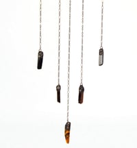 Image 5 of Real butterfly the yellow-edged giant owl / Caligo atreus