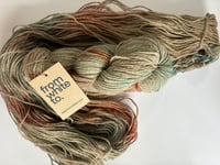 Image 1 of Bologna - Hey Jupiter