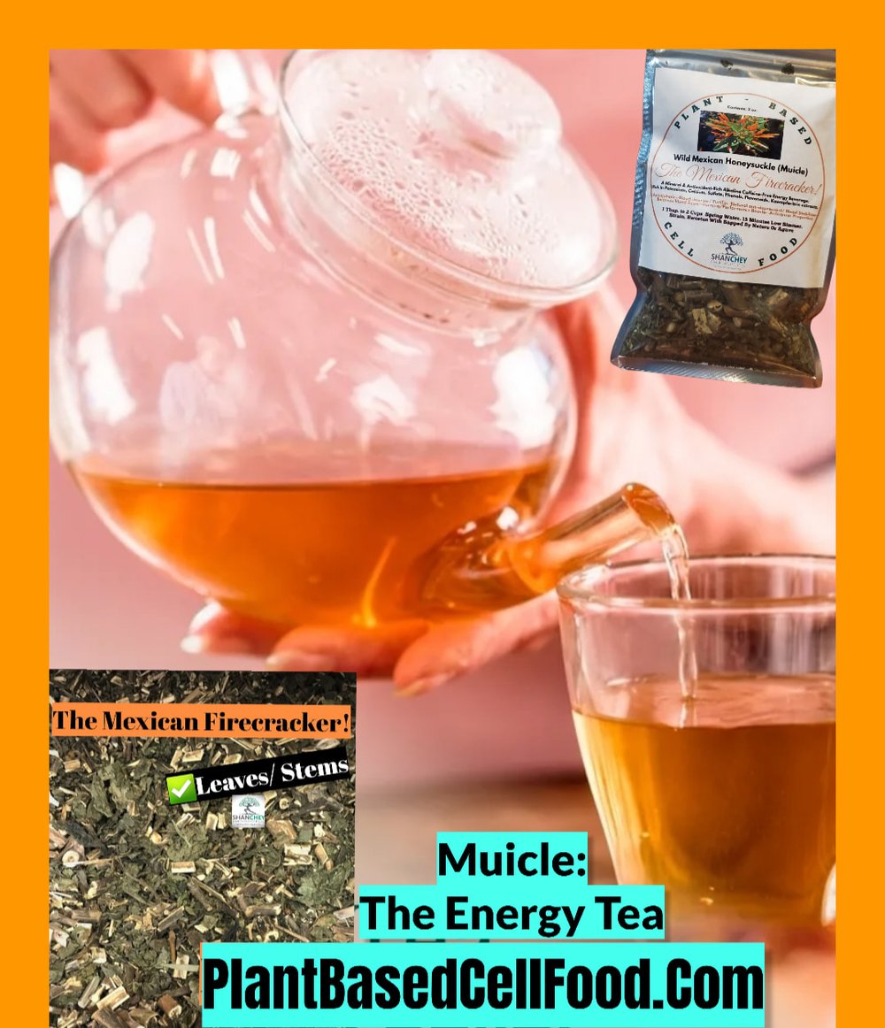 Wild Mexican Firecracker Muicle! Energy Tea. Stamina/Anti-Depressant/Diabetes/Blood Purifier 1.5 oz.