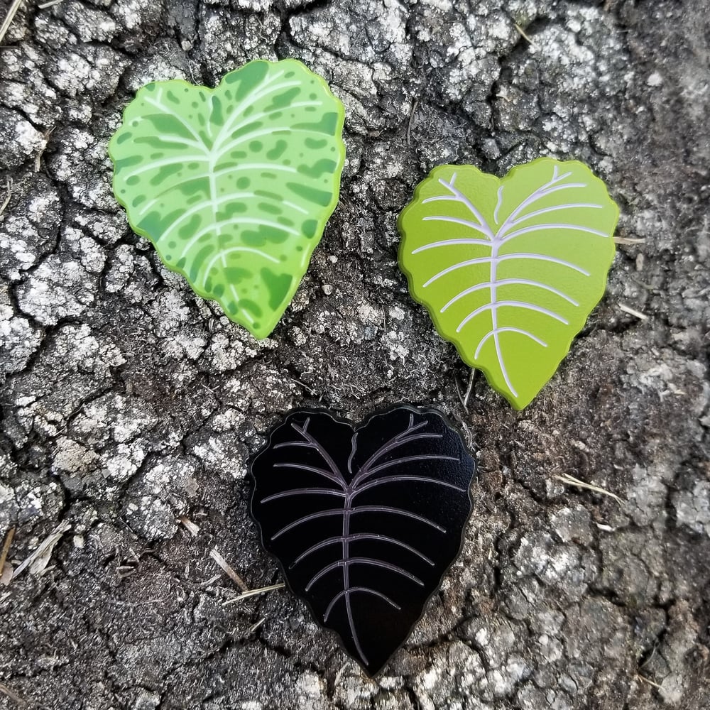 Colocasia Pins