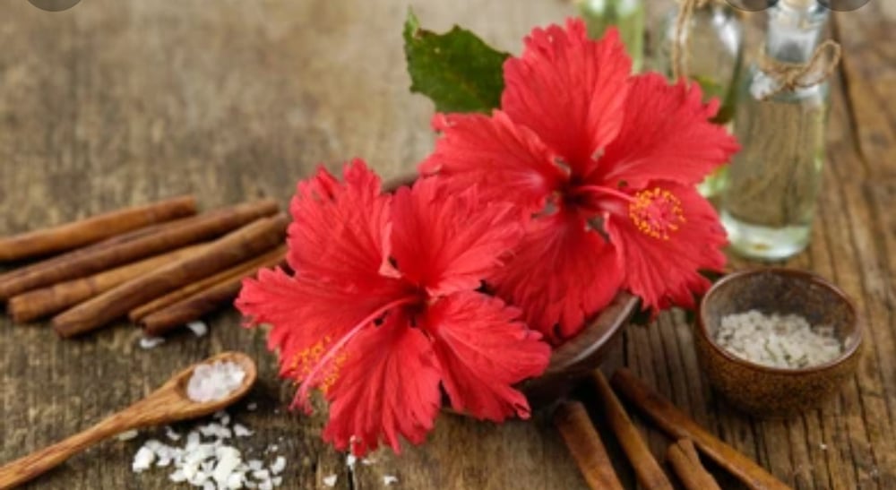 Image of Hibiscus infused facial toner 
