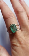 Ulva Ring