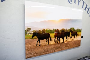 Image of SUNSET STROLL :: Limited Edition Fine Art Metal Print