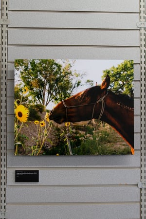 Image of STOP & SMELL THE SUNFLOWERS :: Limited Edition Fine Art Metal Print
