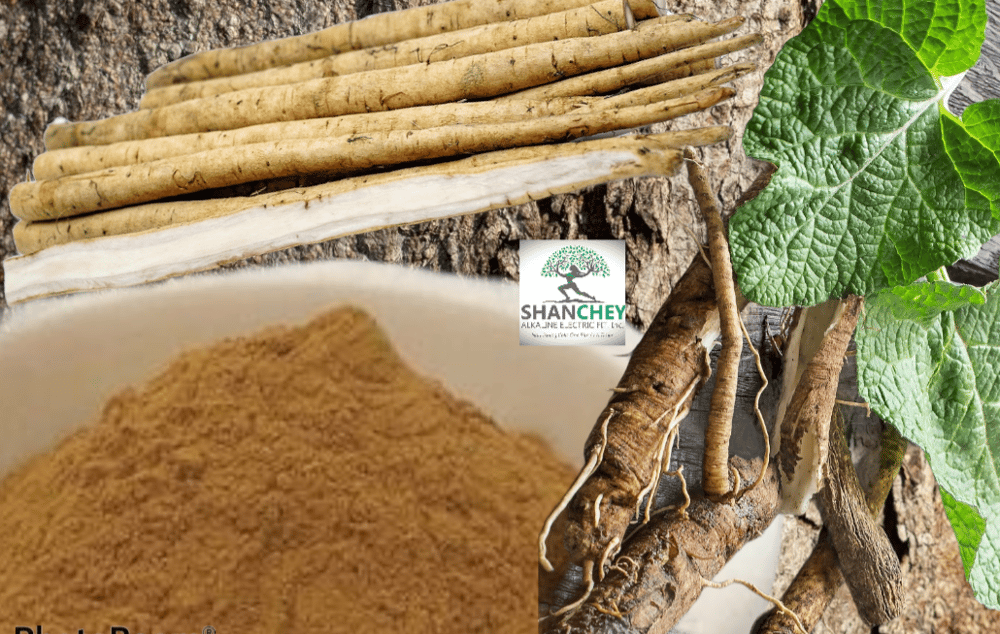 HUNGER NOT! Bulgarian Burdock Root-Hormone Balance-Purifier-Appetite Suppress-Lymphatic-UV-Herpes