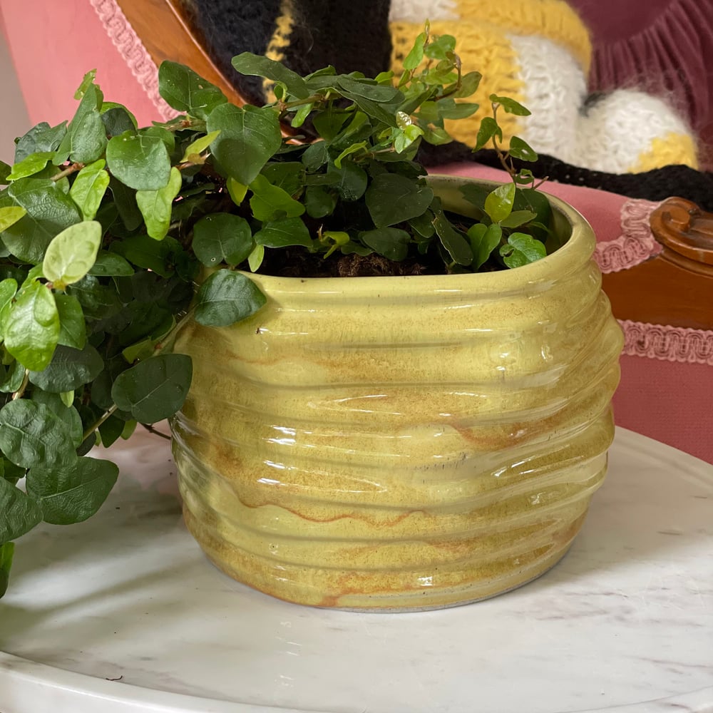 Honeycomb Planter