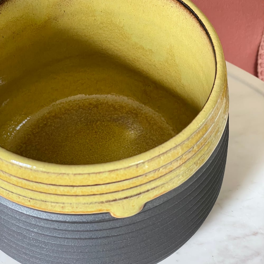 Midnight Honey Planter