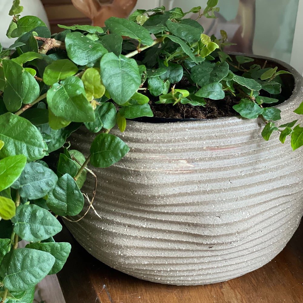 Brown Speckle Planter