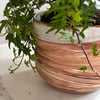 Sandstone Swirl Planter