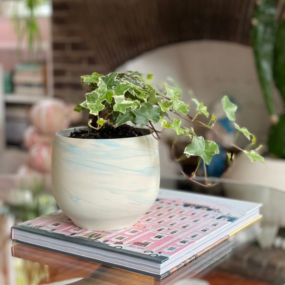 Arctic Swirl Planter