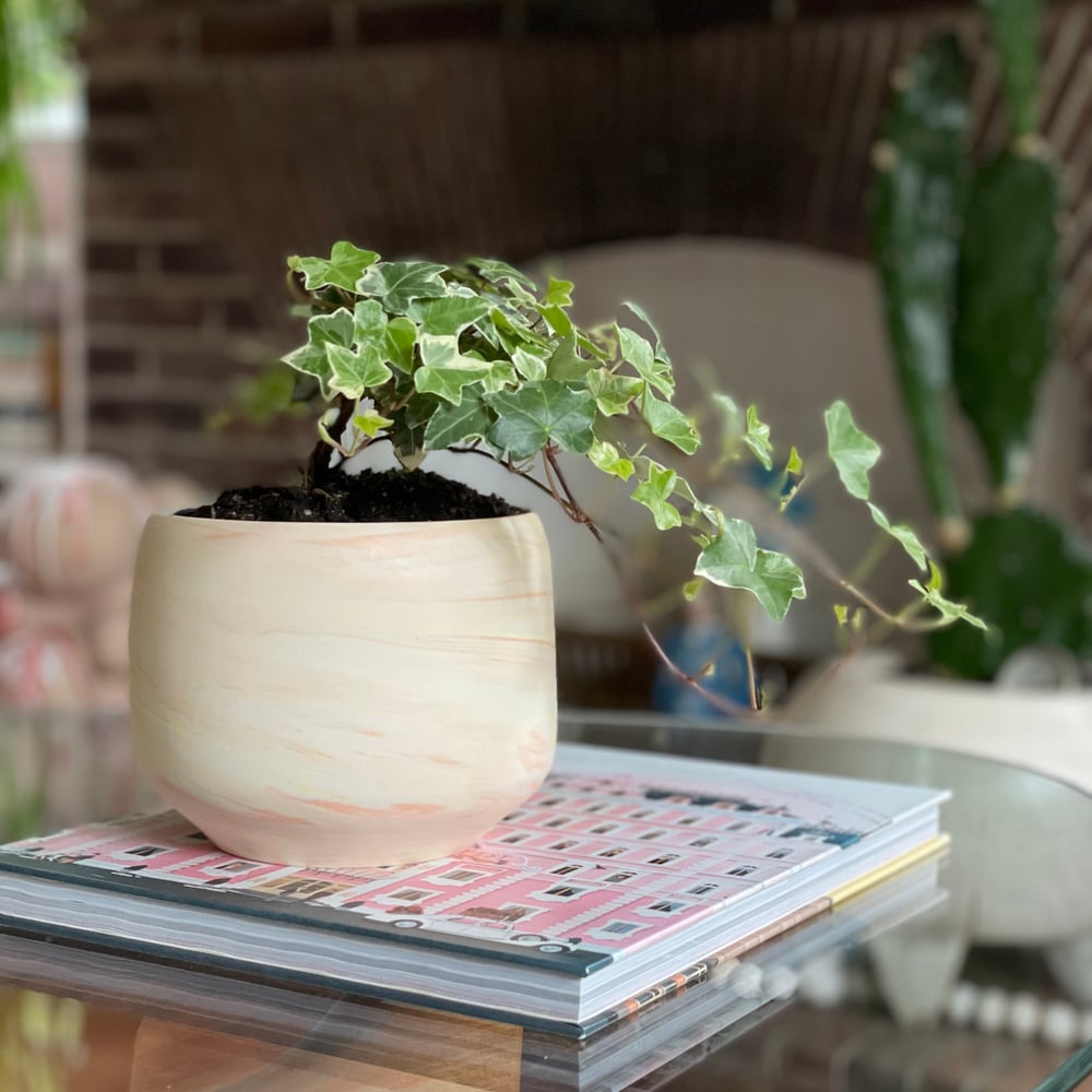 Peach and Lemon Swirl Planter