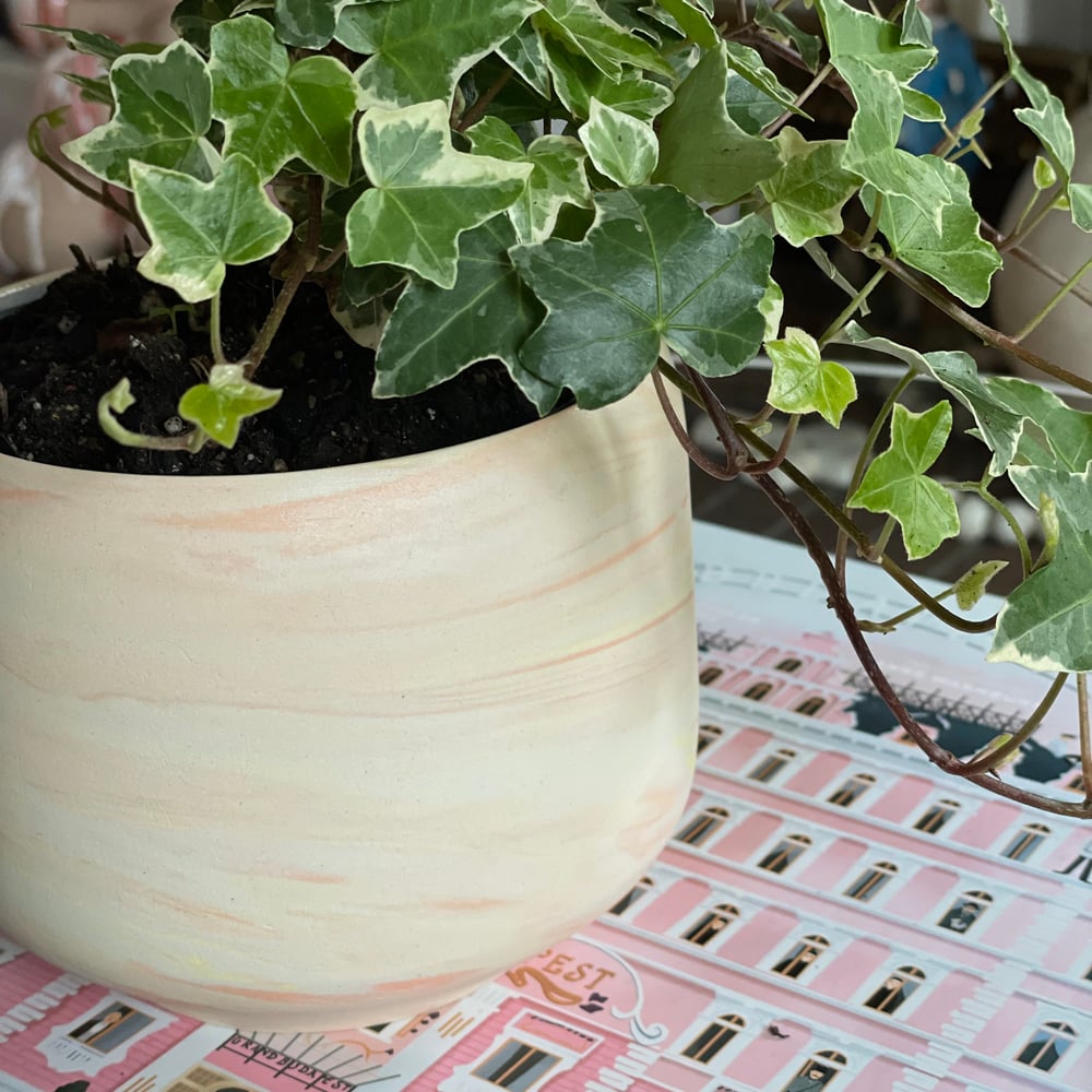 Peach and Lemon Swirl Planter