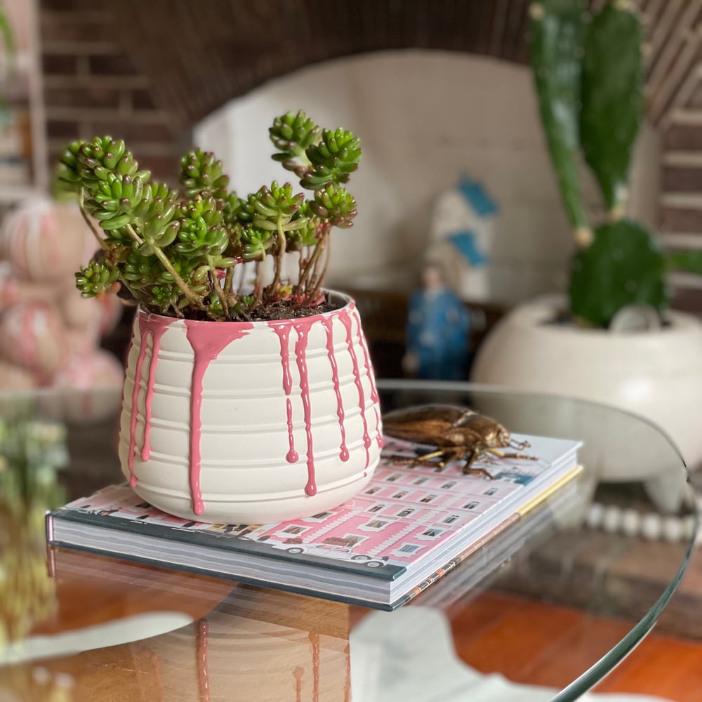 Raspberry Drizzle Planter