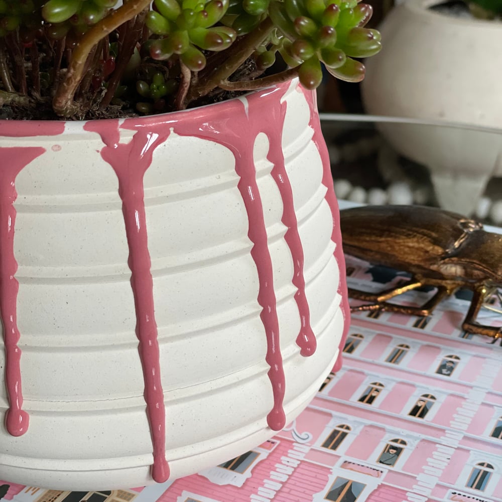 Raspberry Drizzle Planter