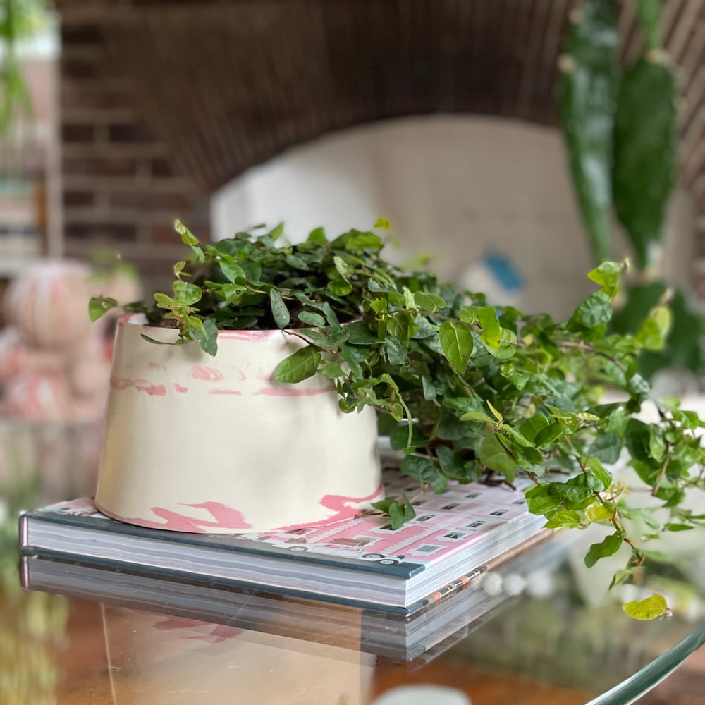 Raspberry Swirl Planter