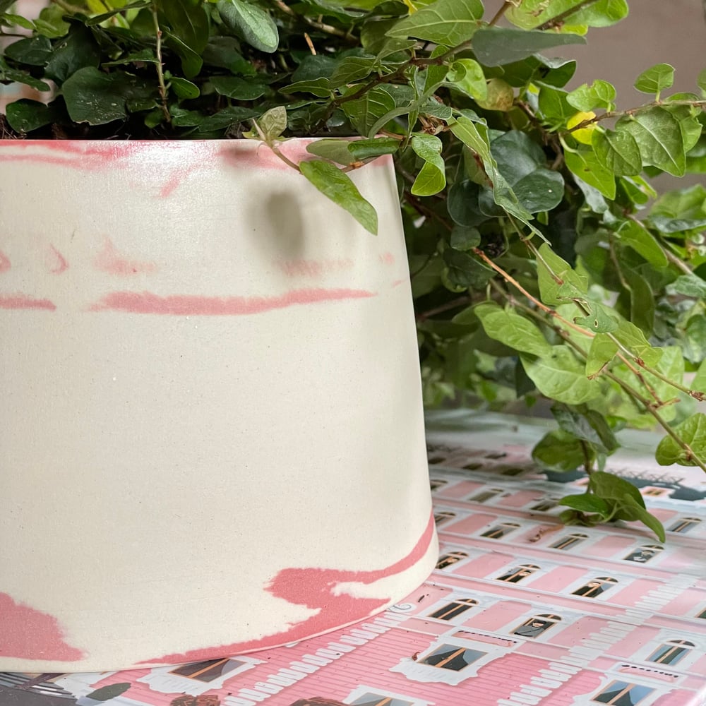 Raspberry Swirl Planter