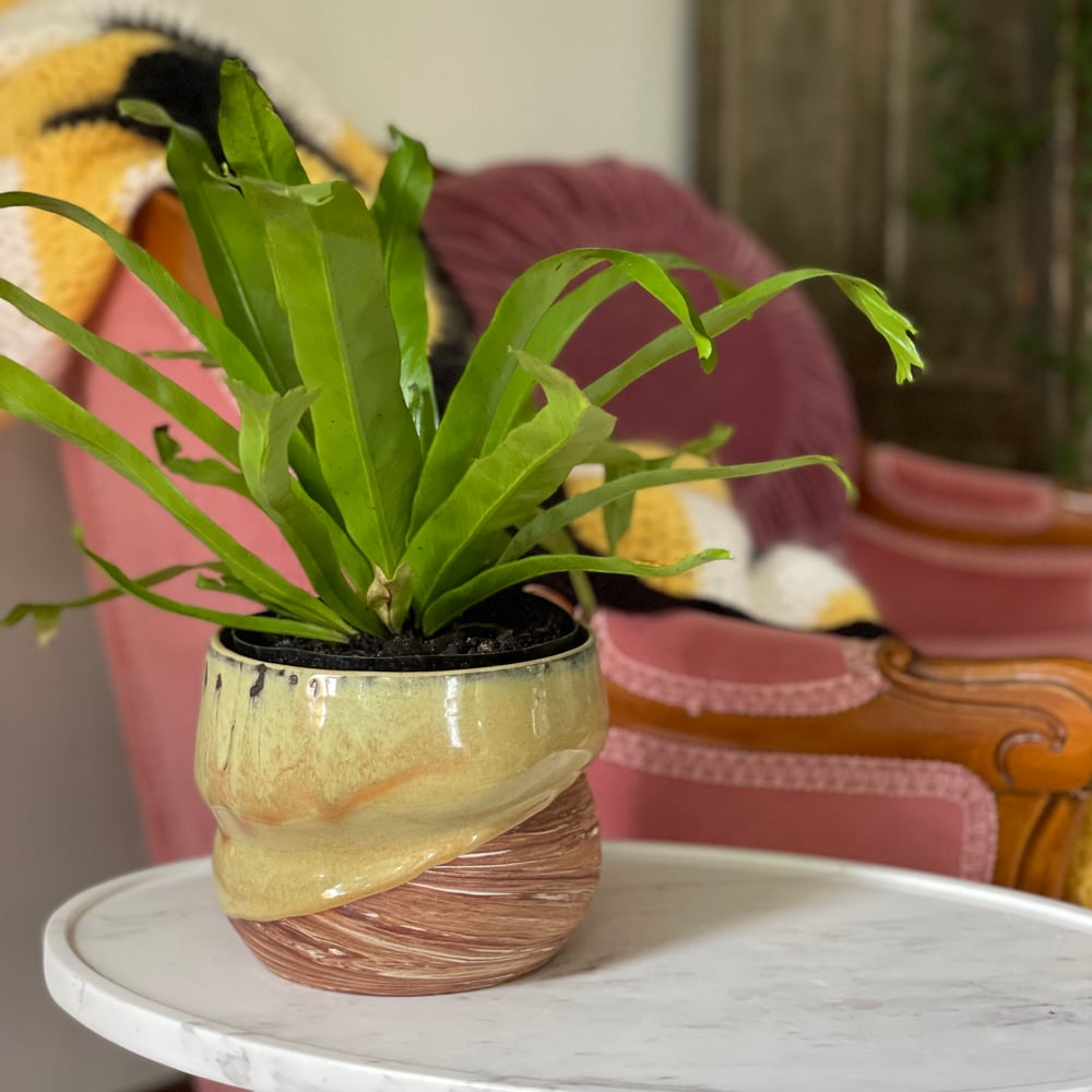 Sandstone Melt Planter