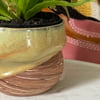 Sandstone Melt Planter