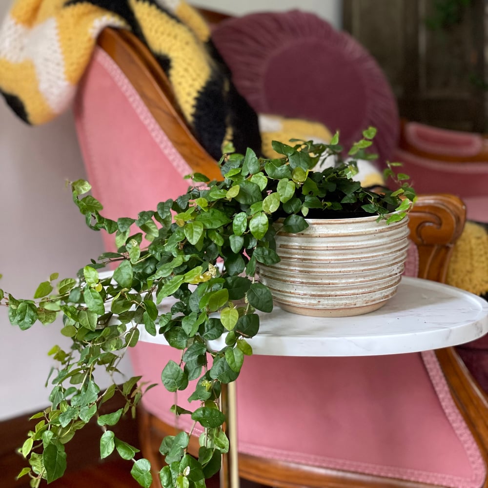 Washed Hazel Planter/Bowl