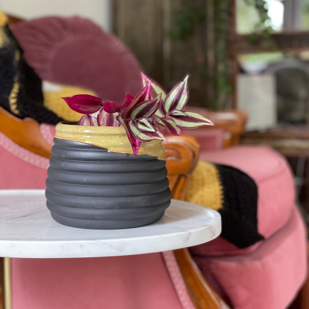 Honey-dipped Planter